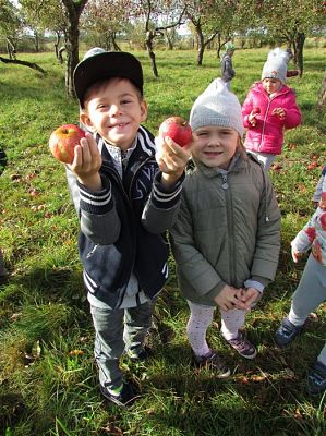 Grafika #7: 08.10.2018 Wycieczka do sadu gr II i III