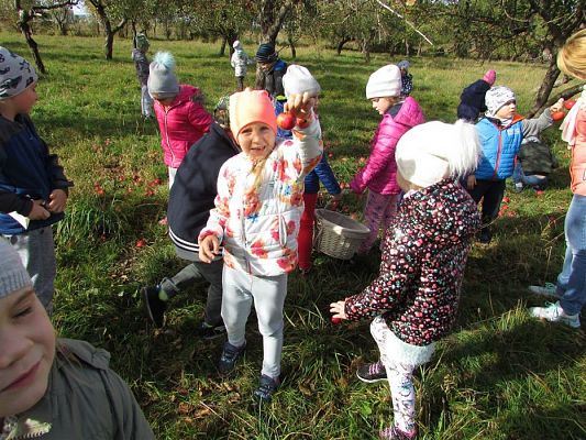 Grafika #8: 08.10.2018 Wycieczka do sadu gr II i III