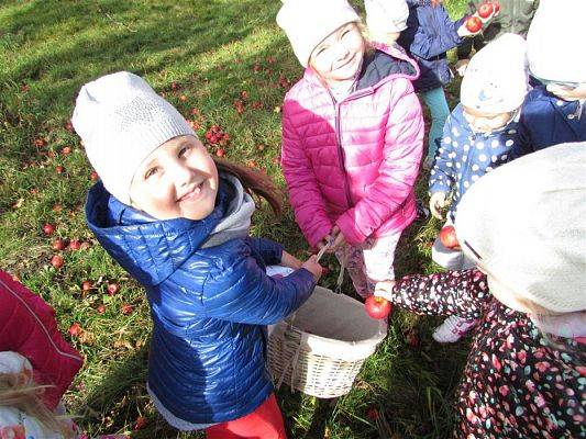 Grafika #9: 08.10.2018 Wycieczka do sadu gr II i III