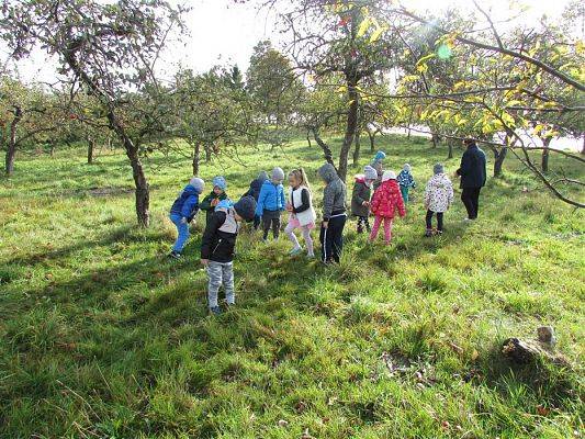 Grafika #14: 08.10.2018 Wycieczka do sadu gr II i III