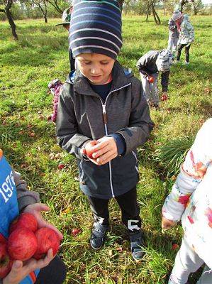 Grafika #15: 08.10.2018 Wycieczka do sadu gr II i III