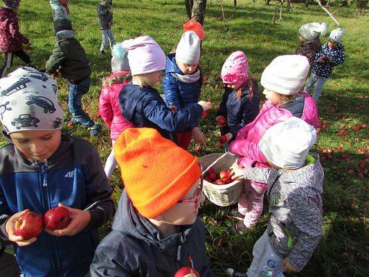 Grafika #18: 08.10.2018 Wycieczka do sadu gr II i III