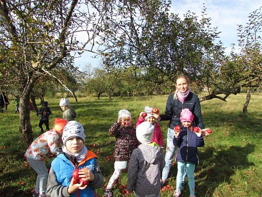 Grafika #19: 08.10.2018 Wycieczka do sadu gr II i III