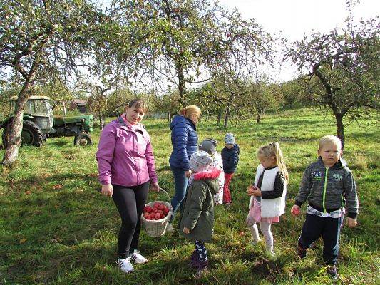 Grafika #20: 08.10.2018 Wycieczka do sadu gr II i III