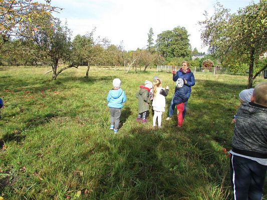 Grafika #24: 08.10.2018 Wycieczka do sadu gr II i III