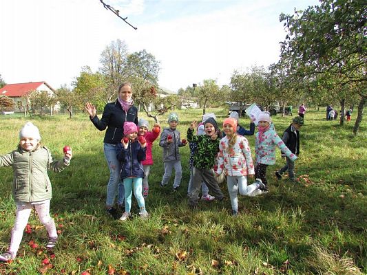 Grafika #25: 08.10.2018 Wycieczka do sadu gr II i III