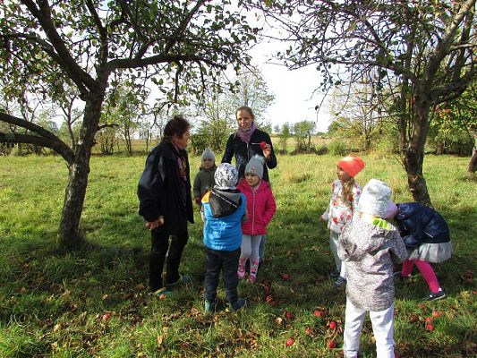 Grafika #27: 08.10.2018 Wycieczka do sadu gr II i III