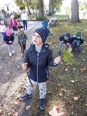 Grafika #4: 01.10.2018 Dary Jesieni-spacer w okolicy przedszkola