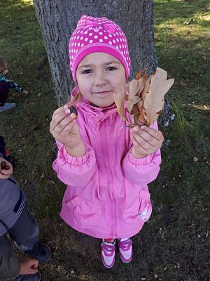 Grafika #6: 01.10.2018 Dary Jesieni-spacer w okolicy przedszkola