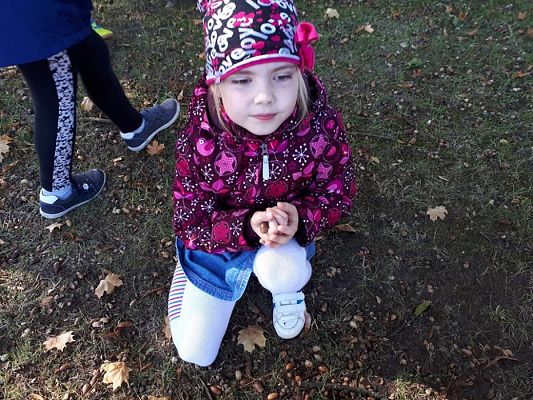 Grafika #8: 01.10.2018 Dary Jesieni-spacer w okolicy przedszkola