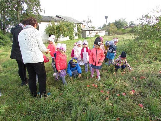 Grafika #3: 27.09.2018 Maluchy z wizytą w sadzie