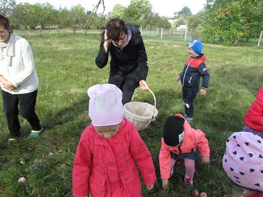 Grafika #4: 27.09.2018 Maluchy z wizytą w sadzie