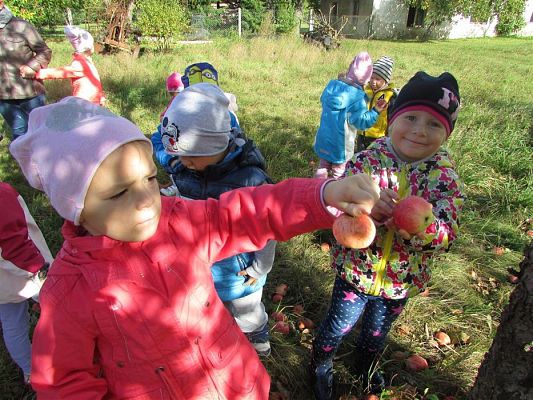 Grafika #5: 27.09.2018 Maluchy z wizytą w sadzie