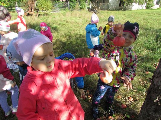 Grafika #6: 27.09.2018 Maluchy z wizytą w sadzie