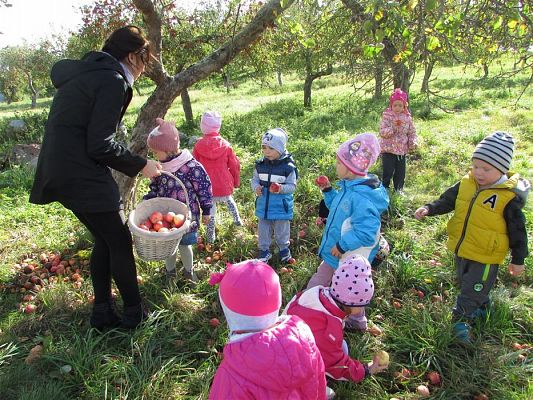 Grafika #9: 27.09.2018 Maluchy z wizytą w sadzie