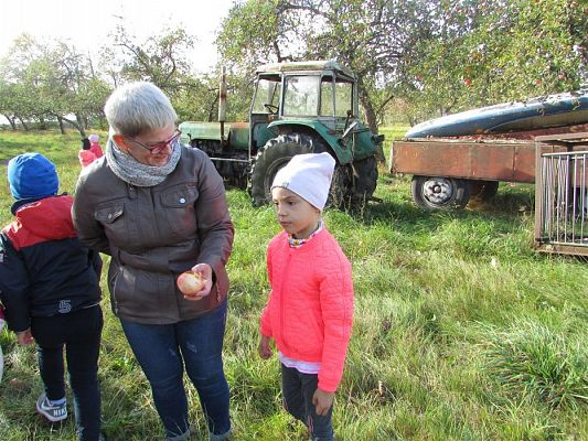 Grafika #11: 27.09.2018 Maluchy z wizytą w sadzie