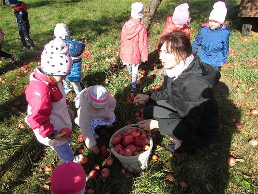 Grafika #15: 27.09.2018 Maluchy z wizytą w sadzie