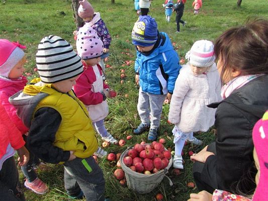 Grafika #16: 27.09.2018 Maluchy z wizytą w sadzie