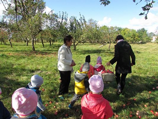 Grafika #18: 27.09.2018 Maluchy z wizytą w sadzie