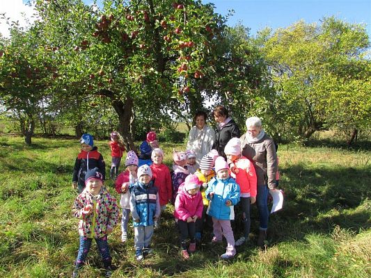 Grafika #19: 27.09.2018 Maluchy z wizytą w sadzie