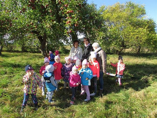 Grafika #20: 27.09.2018 Maluchy z wizytą w sadzie