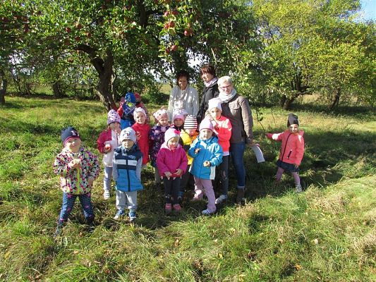 Grafika #21: 27.09.2018 Maluchy z wizytą w sadzie