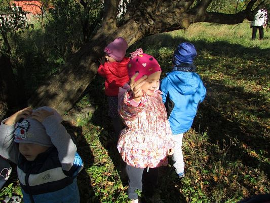 Grafika #22: 27.09.2018 Maluchy z wizytą w sadzie