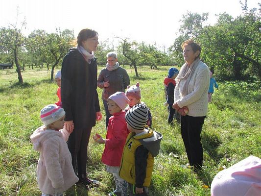 Grafika #23: 27.09.2018 Maluchy z wizytą w sadzie