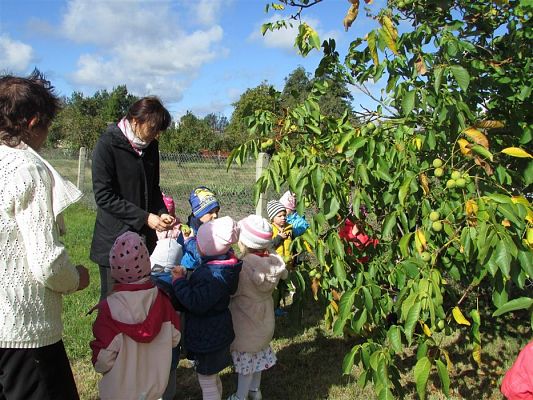 Grafika #24: 27.09.2018 Maluchy z wizytą w sadzie