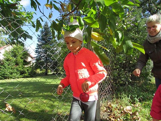 Grafika #28: 27.09.2018 Maluchy z wizytą w sadzie