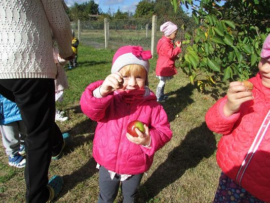 Grafika #29: 27.09.2018 Maluchy z wizytą w sadzie