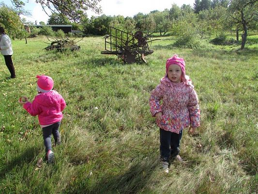 Grafika #30: 27.09.2018 Maluchy z wizytą w sadzie