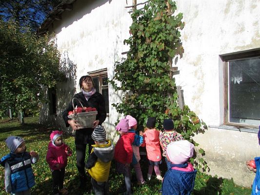 Grafika #33: 27.09.2018 Maluchy z wizytą w sadzie