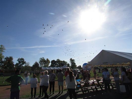 Grafika #23: 14.09.2018 Miniolimpiada Osób Niepełnosprawnych