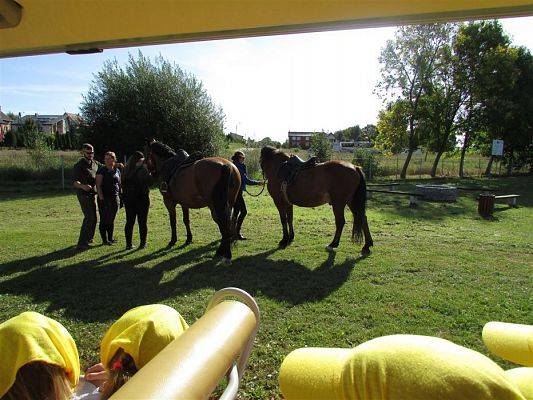 Grafika #45: 14.09.2018 Miniolimpiada Osób Niepełnosprawnych