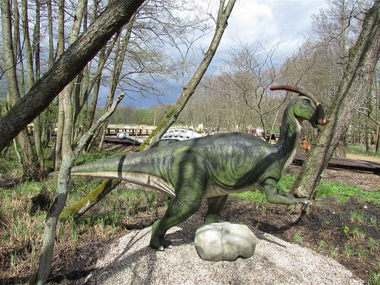 Grafika #2: 27.04.2018 Wycieczka do Parku Ewolucji w Sławutówku cz.II