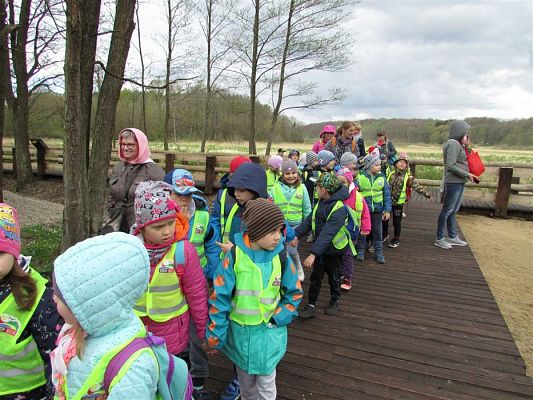 Grafika #12: 27.04.2018 Wycieczka do Parku Ewolucji w Sławutówku cz.II