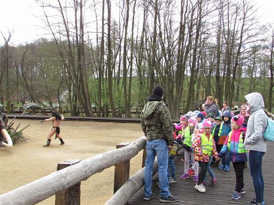 Grafika #20: 27.04.2018 Wycieczka do Parku Ewolucji w Sławutówku cz.II