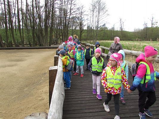 Grafika #21: 27.04.2018 Wycieczka do Parku Ewolucji w Sławutówku cz.II