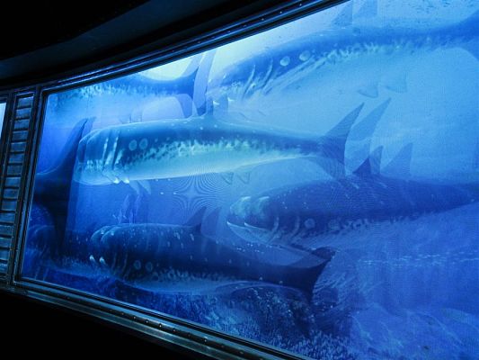 Grafika #41: 27.04.2018 Wycieczka do Parku Ewolucji w Sławutówku cz.II