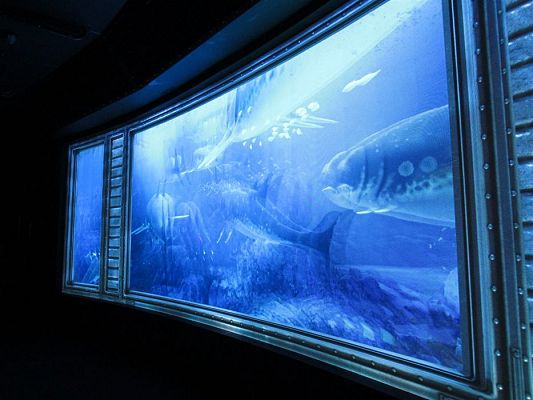 Grafika #42: 27.04.2018 Wycieczka do Parku Ewolucji w Sławutówku cz.II