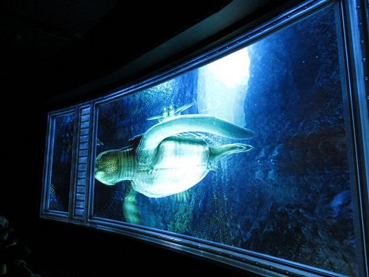 Grafika #44: 27.04.2018 Wycieczka do Parku Ewolucji w Sławutówku cz.II