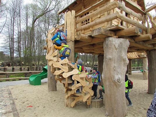 Grafika #47: 27.04.2018 Wycieczka do Parku Ewolucji w Sławutówku cz.II