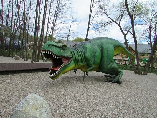 Grafika #44: 27.04.2018 Wycieczka do Parku Ewolucji w Sławutówku cz.I