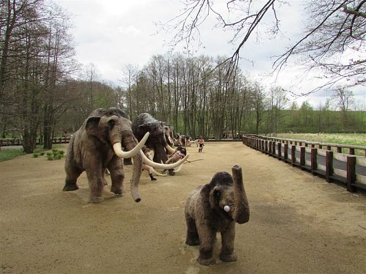 Grafika #46: 27.04.2018 Wycieczka do Parku Ewolucji w Sławutówku cz.I