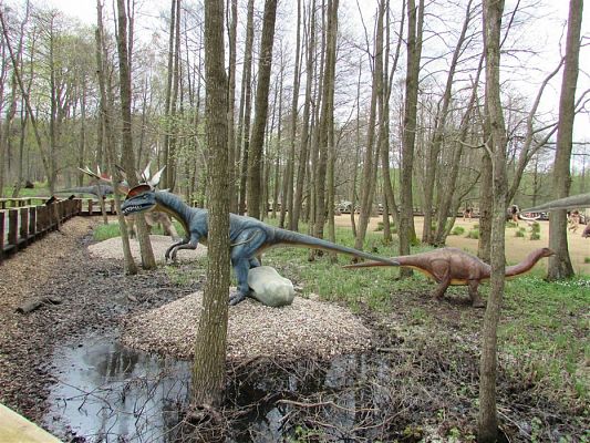 Grafika #54: 27.04.2018 Wycieczka do Parku Ewolucji w Sławutówku cz.I