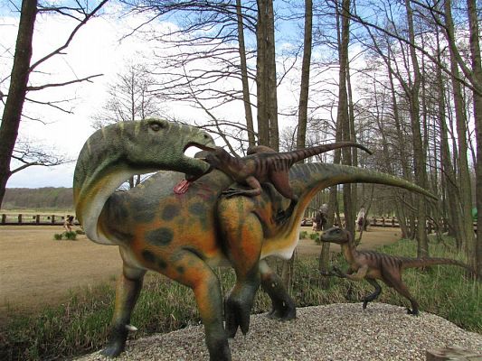 Grafika #64: 27.04.2018 Wycieczka do Parku Ewolucji w Sławutówku cz.I