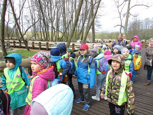 Grafika #67: 27.04.2018 Wycieczka do Parku Ewolucji w Sławutówku cz.I