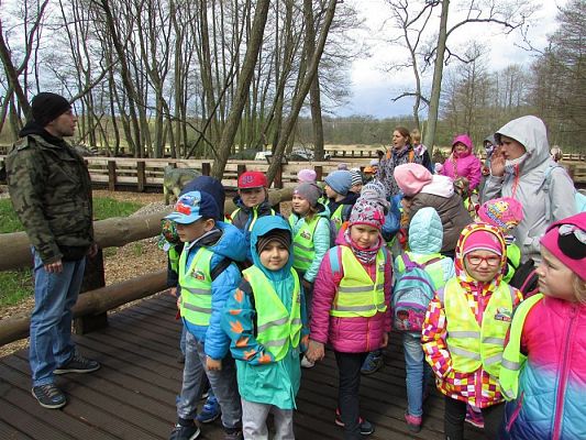 Grafika #68: 27.04.2018 Wycieczka do Parku Ewolucji w Sławutówku cz.I