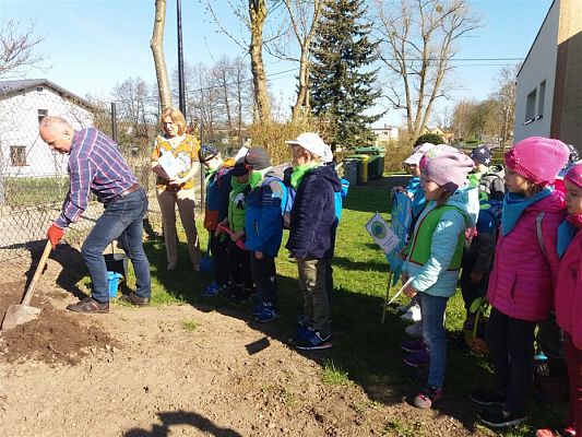 Grafika #36: 20.04.2018 Obchodzimy Światowy Dzień Ziemi cz.I